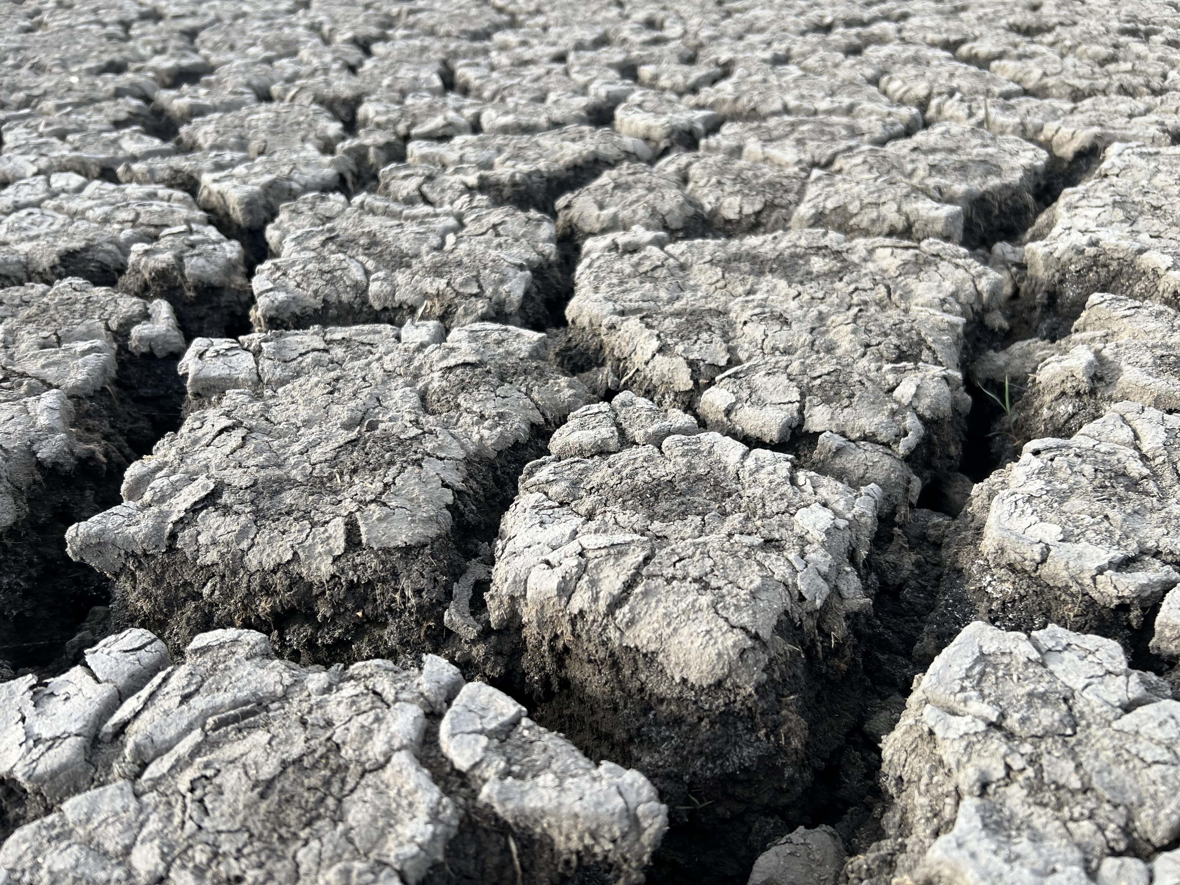 Dry lake in Flamenzeni. Extremely dry soil is a less permeable surface, which can increase the severity of floods. Uncovered soil (without vegetation) is also prone to mudflow during heavy rainfall, which can damage nearby routes or farmland.